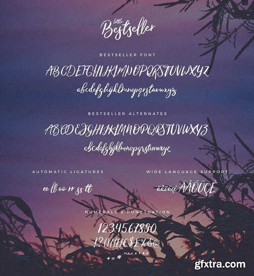 CM - Typographer''s Dream Box + 200 Logos 1954506