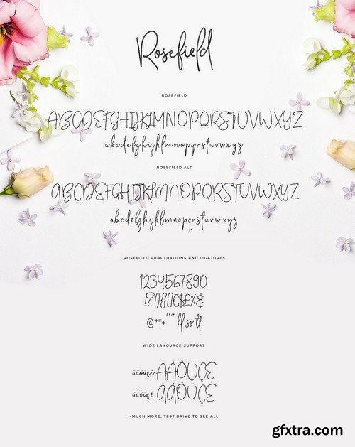 CM - Typographer''s Dream Box + 200 Logos 1954506