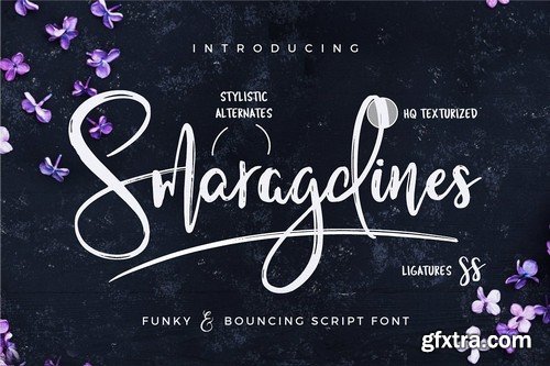 CM - Typographer''s Dream Box + 200 Logos 1954506