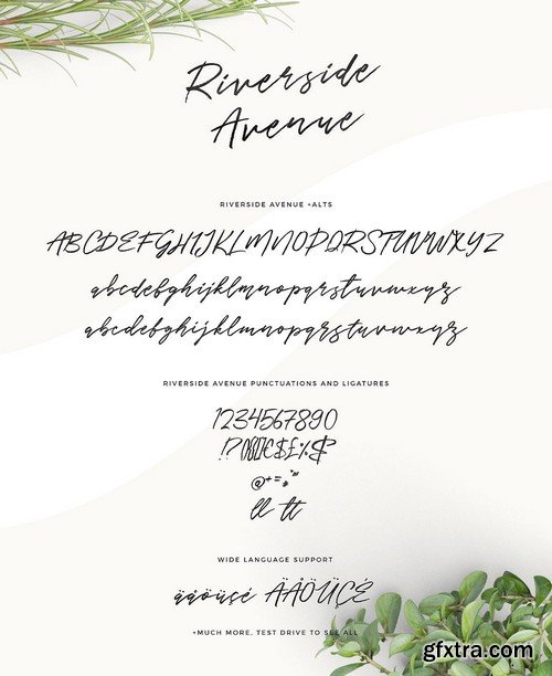 CM - Typographer''s Dream Box + 200 Logos 1954506