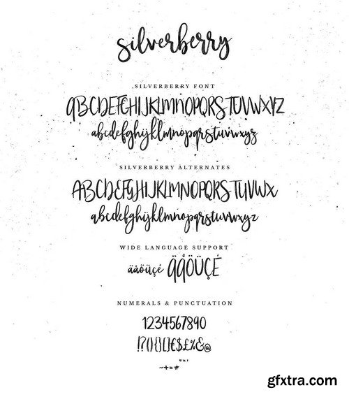 CM - Typographer''s Dream Box + 200 Logos 1954506