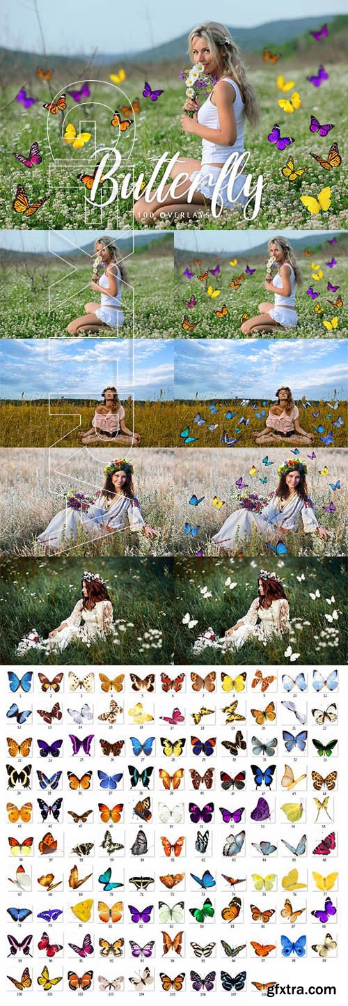 CreativeMarket - Butterfly Overlays - 100 Overlays 2003447