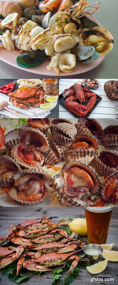 Photos - Various Seafood Set 4