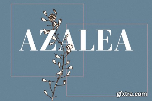 CreativeMarket Azalea | Serif Typeface 2025938