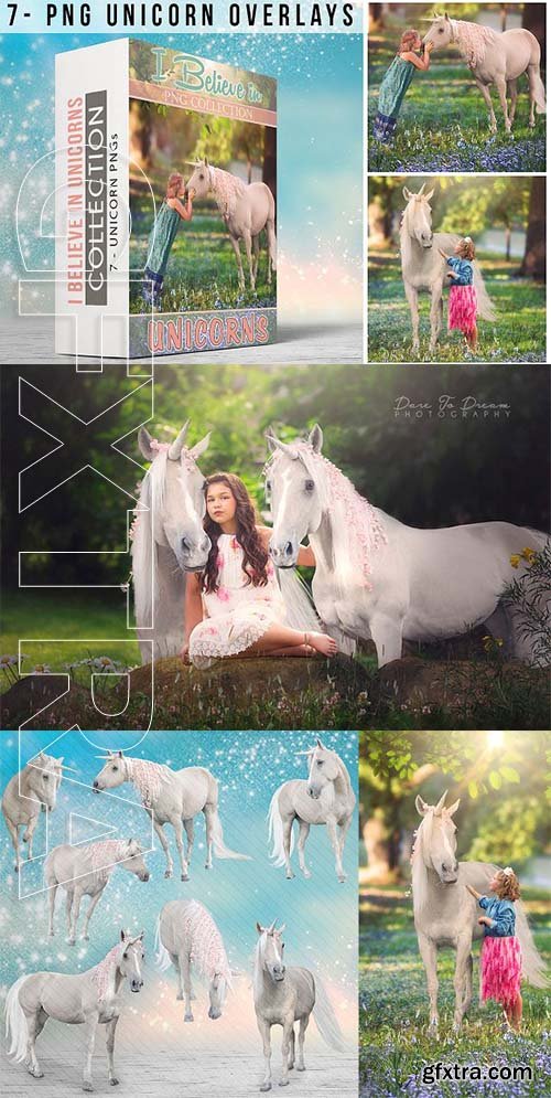 CreativeMarket - 7 - Real Unicorn PNGs - Collection 2036016