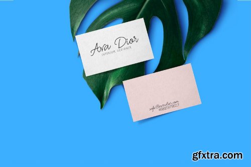 Oh Wonder Family - 4 Fonts