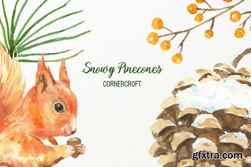 CreativeMarket Snowy Pine Cones Watercolor Clipart 2028885