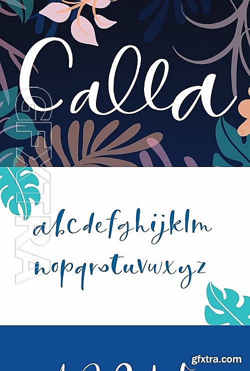 CM - Calla Script 1896539