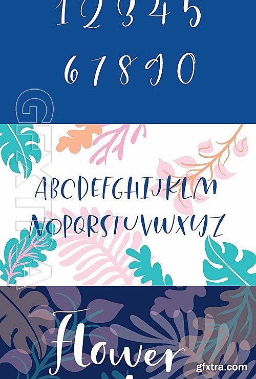 CM - Calla Script 1896539