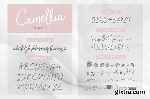 CreativeMarket Floral Bundle Fonts & Illustrations 1985821 CreativeMarket Floral Bundle Fonts & Illustrations 1985821