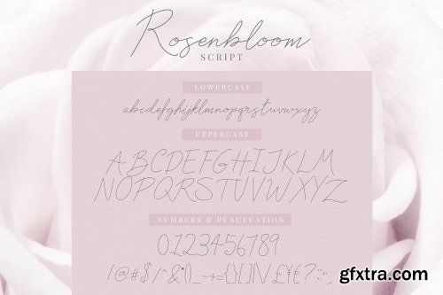 CreativeMarket Floral Bundle Fonts & Illustrations 1985821 CreativeMarket Floral Bundle Fonts & Illustrations 1985821