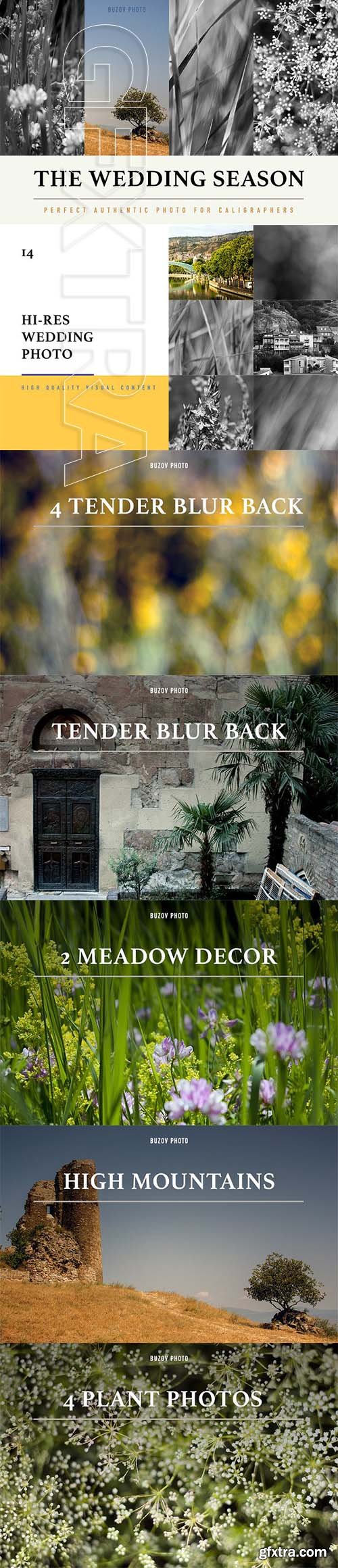 CreativeMarket - 14 Wedding Season Decoration Photos 2064494