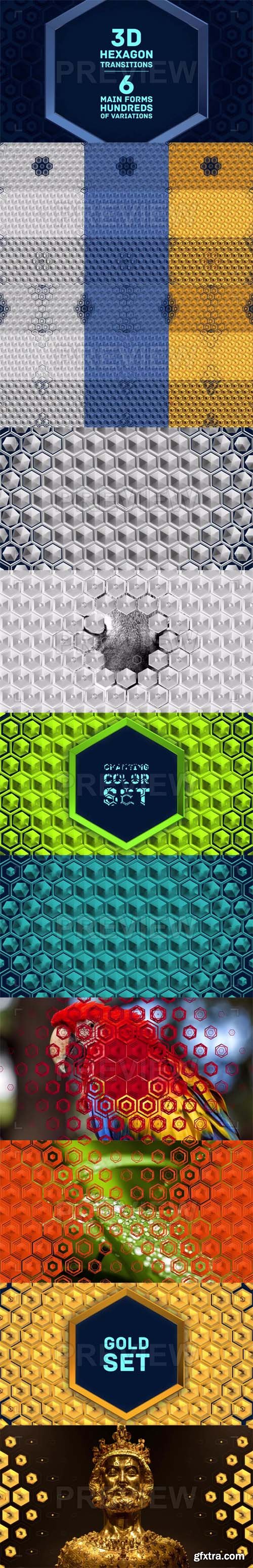 MA - Hexagon Transitions