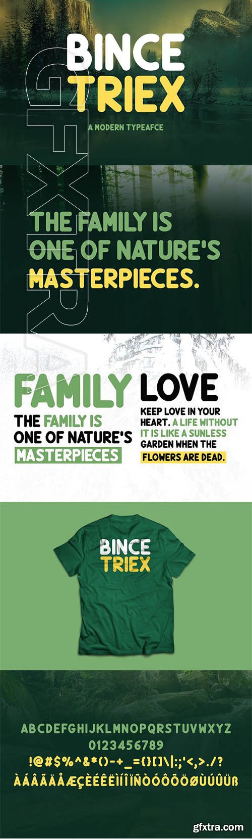 CreativeMarket - Bince Triex Typeface 2082922