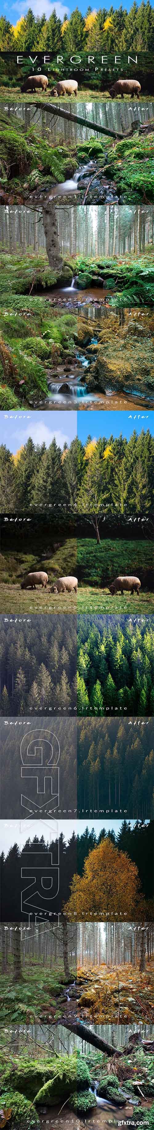 CreativeMarket - Ever Green 10 Lightroom Presets 2128914