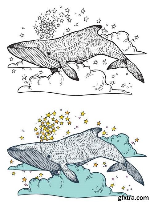 Whale Scratchboard Illustration