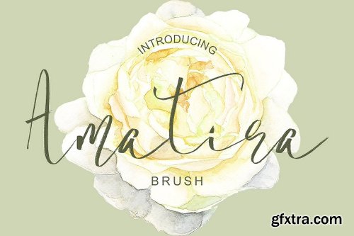 CreativeMarket 51 Handwritten Fonts Collection 2148749