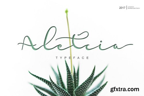 CreativeMarket 51 Handwritten Fonts Collection 2148749