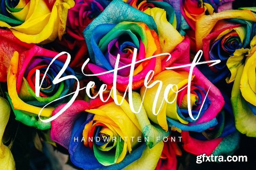 CreativeMarket 51 Handwritten Fonts Collection 2148749