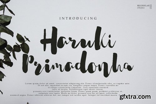 CreativeMarket 51 Handwritten Fonts Collection 2148749