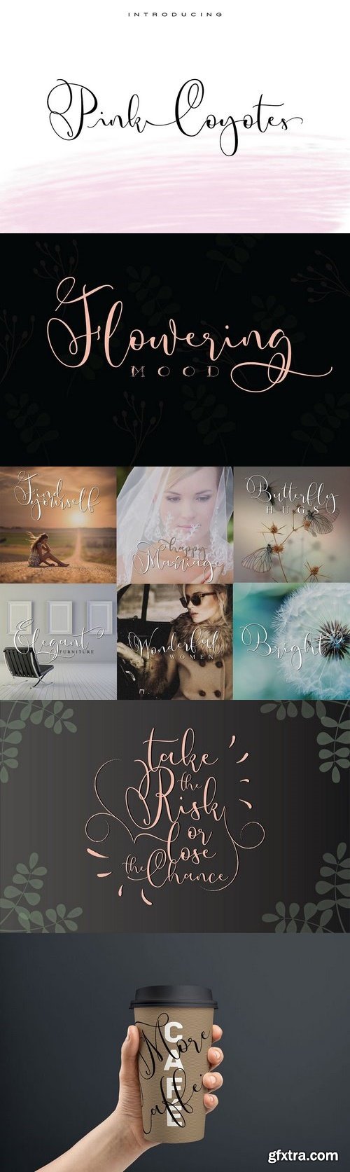 CM - Pink Coyotes 1857345