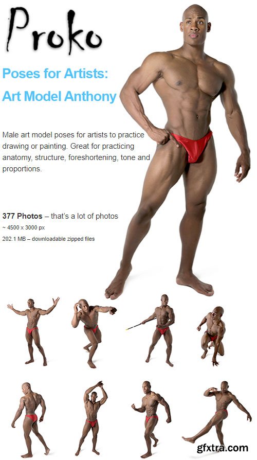 Proko - Poses for Artists: Art Model Anthony