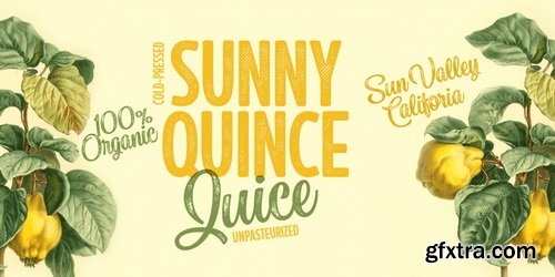 Sonder Font Family | 14x TTF