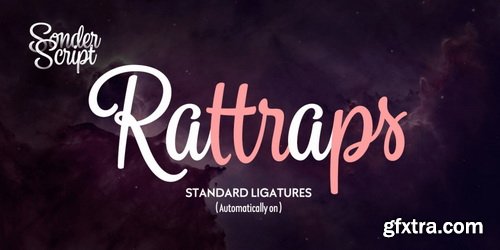 Sonder Font Family | 14x TTF