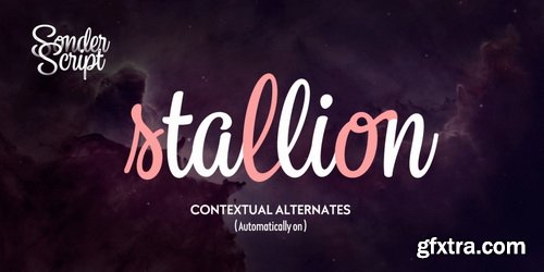 Sonder Font Family | 14x TTF