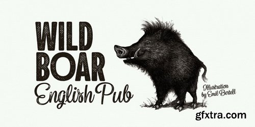 Sonder Font Family | 14x TTF