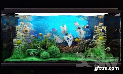 Aquarium 3d Model