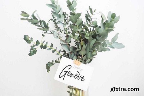 CM - Stepbrother Chic Script Font 2183505