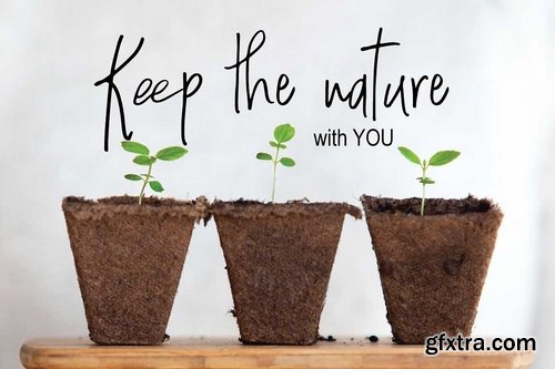 CM - Stepbrother Chic Script Font 2183505