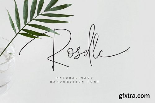 CM - Roselle 2183865