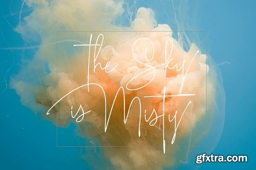 CM - Roselle 2183865