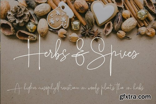 CM - Roselle 2183865