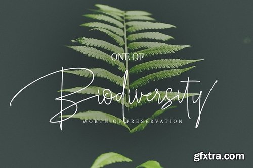 CM - Roselle 2183865