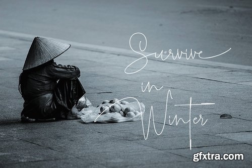 CM - Roselle 2183865