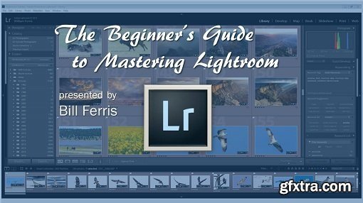 The Beginner\'s Guide to Mastering Lightroom
