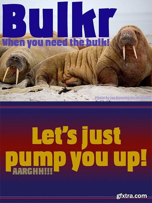 CreativeMarket - Bulkr, a font when you need impact 1919477