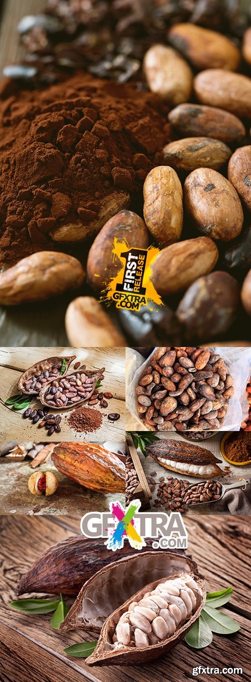Natural brown cocoa beans and dried pod on wooden table