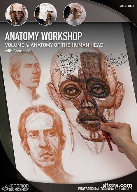 Anatomy Workshop Volume 4: Anatomy of the Human Head