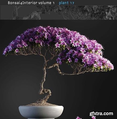 Bonsai Plant 17 3d Model