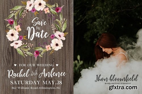 CM - Shellion Script 2207016