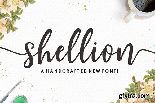 CM - Shellion Script 2207016
