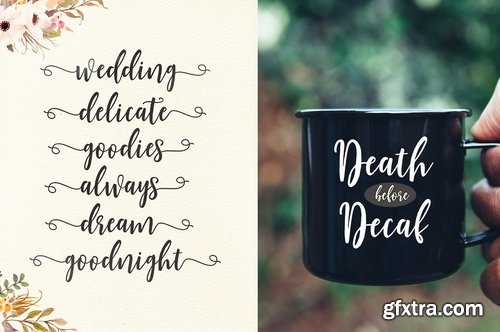 CM - Shellion Script 2207016