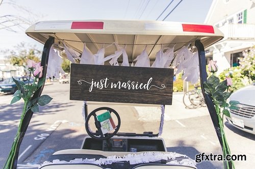 CM - Shellion Script 2207016