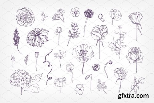 CM - Collection of garden flowers, leaves 2171899