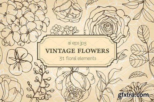 CM - Collection of garden flowers, leaves 2171899