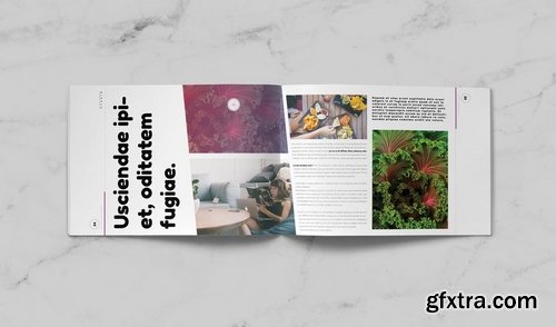 Magenta Modern Brochure